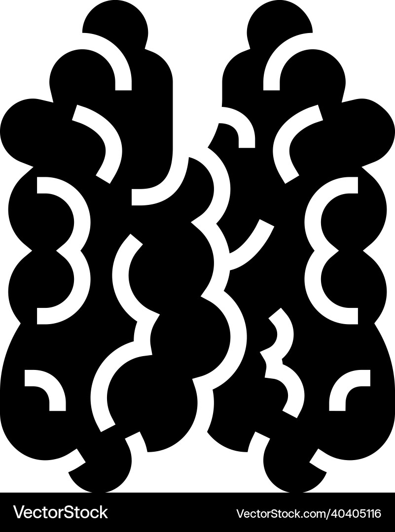 Thymus of immune system glyph icon Royalty Free Vector Image