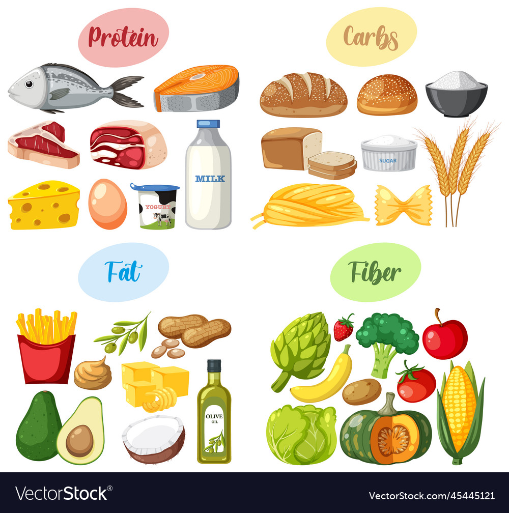 Four Food Groups Royalty Free Vector Image VectorStock