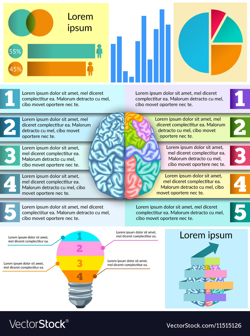 The Mechanics of the Brain (Infographic)