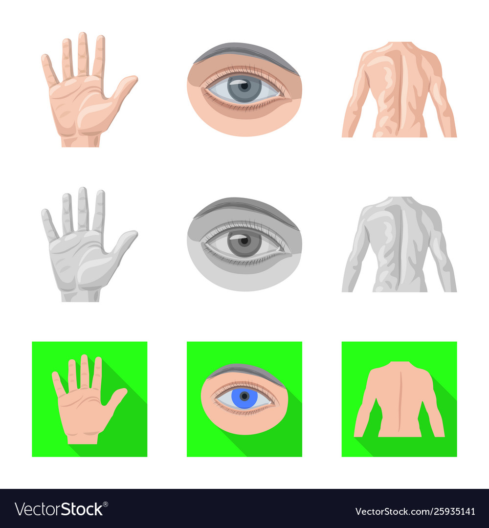 Isolated object human and part icon set