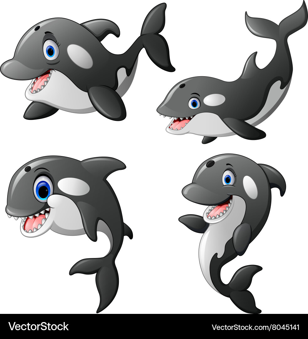 Killer whale set cartoon Royalty Free Vector Image
