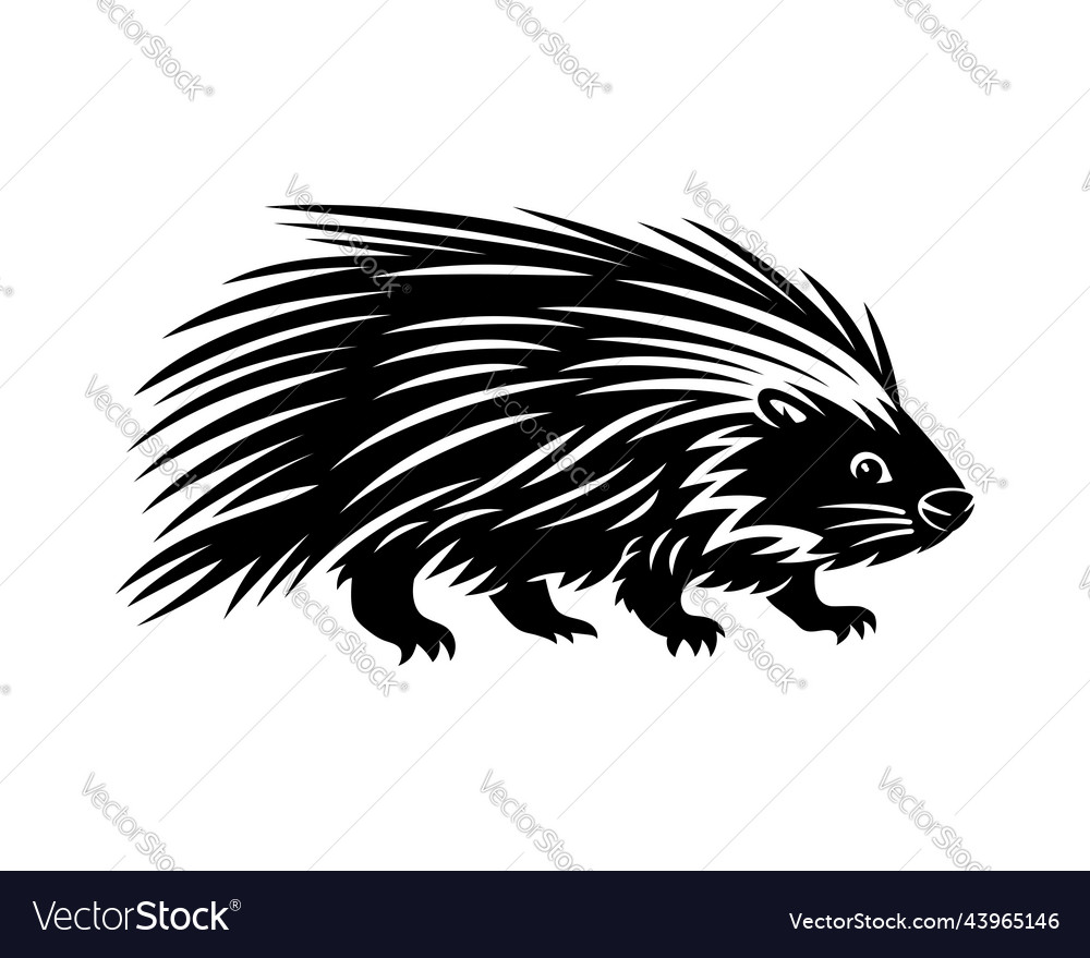 Animal porcupine icon Royalty Free Vector Image