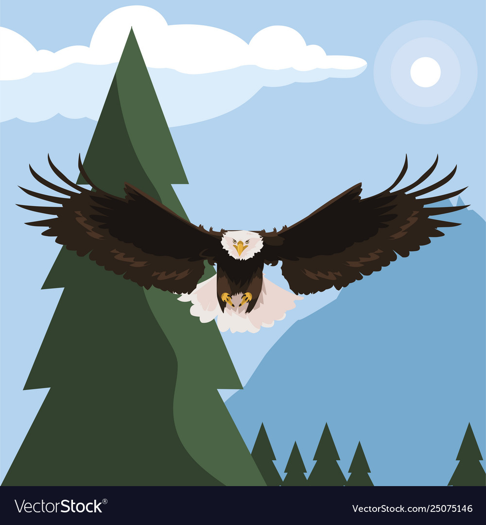 Beautiful bald eagle flying in landscape