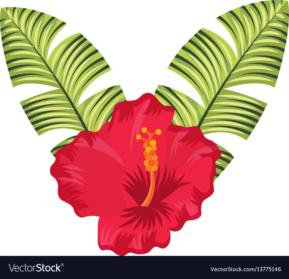 Exotic And Tropical Flower Icon Royalty Free Vector Image