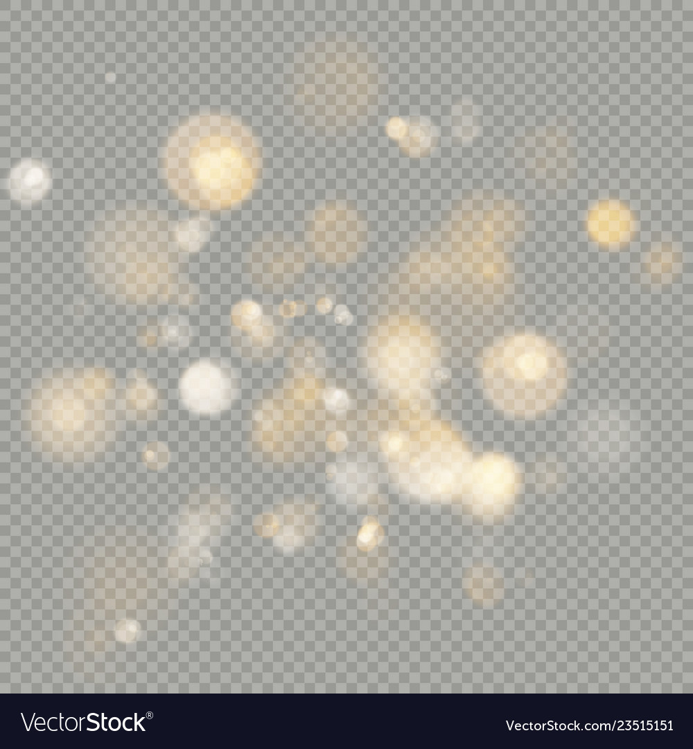 Effect of bokeh circles isolated on transparent vector image Effect of bokeh circles isolated on transparent