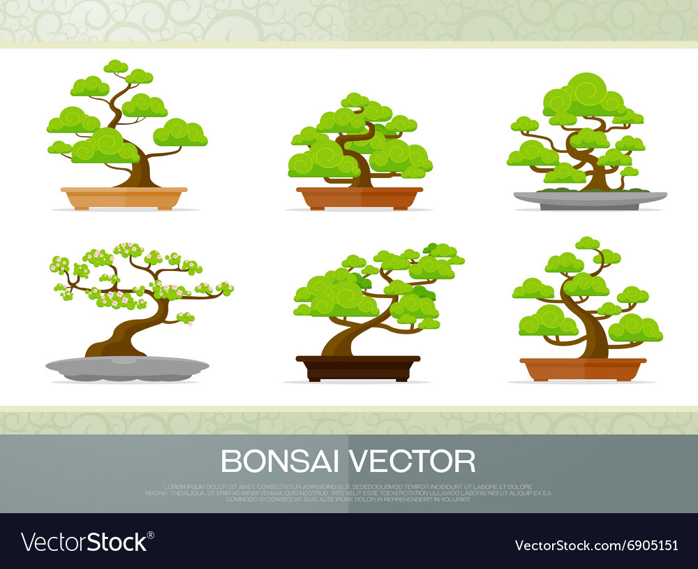 Set Of Bonsai Plant In The Pot Flat Style Vector Image