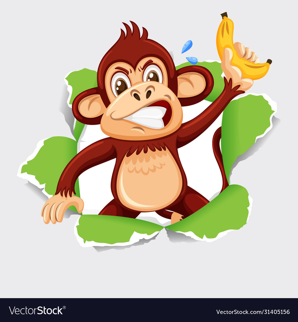 Background template design with wild monkey