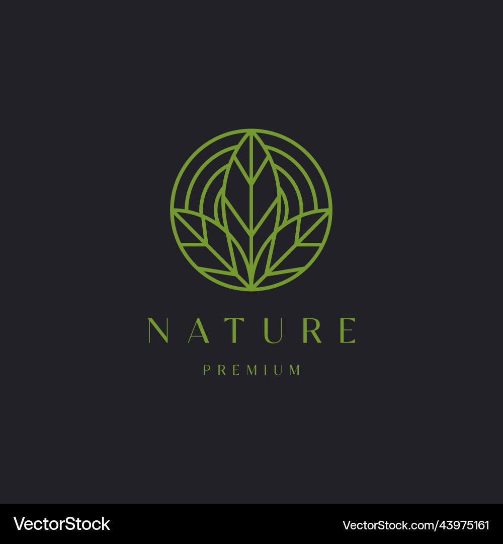 Leaf logo Royalty Free Vector Image - VectorStock