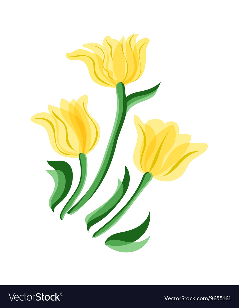Yellow tulips set Royalty Free Vector Image VectorStock