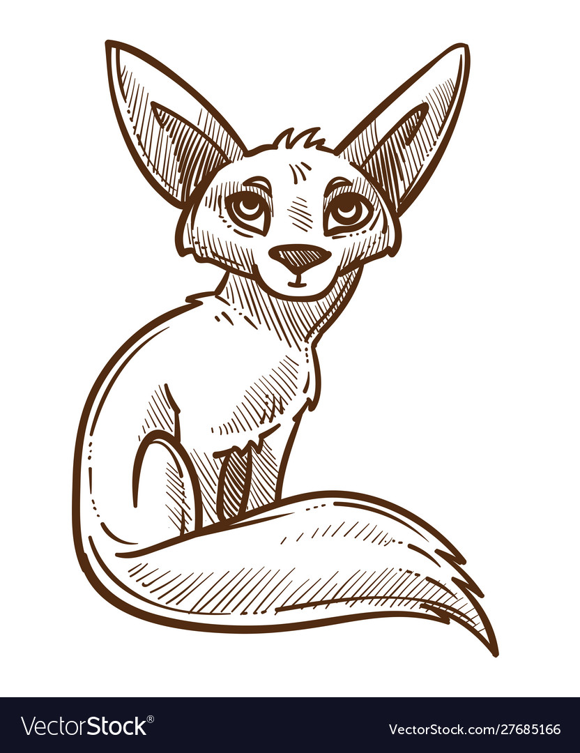 African wild animal fennec fox isolated sketch Vector Image