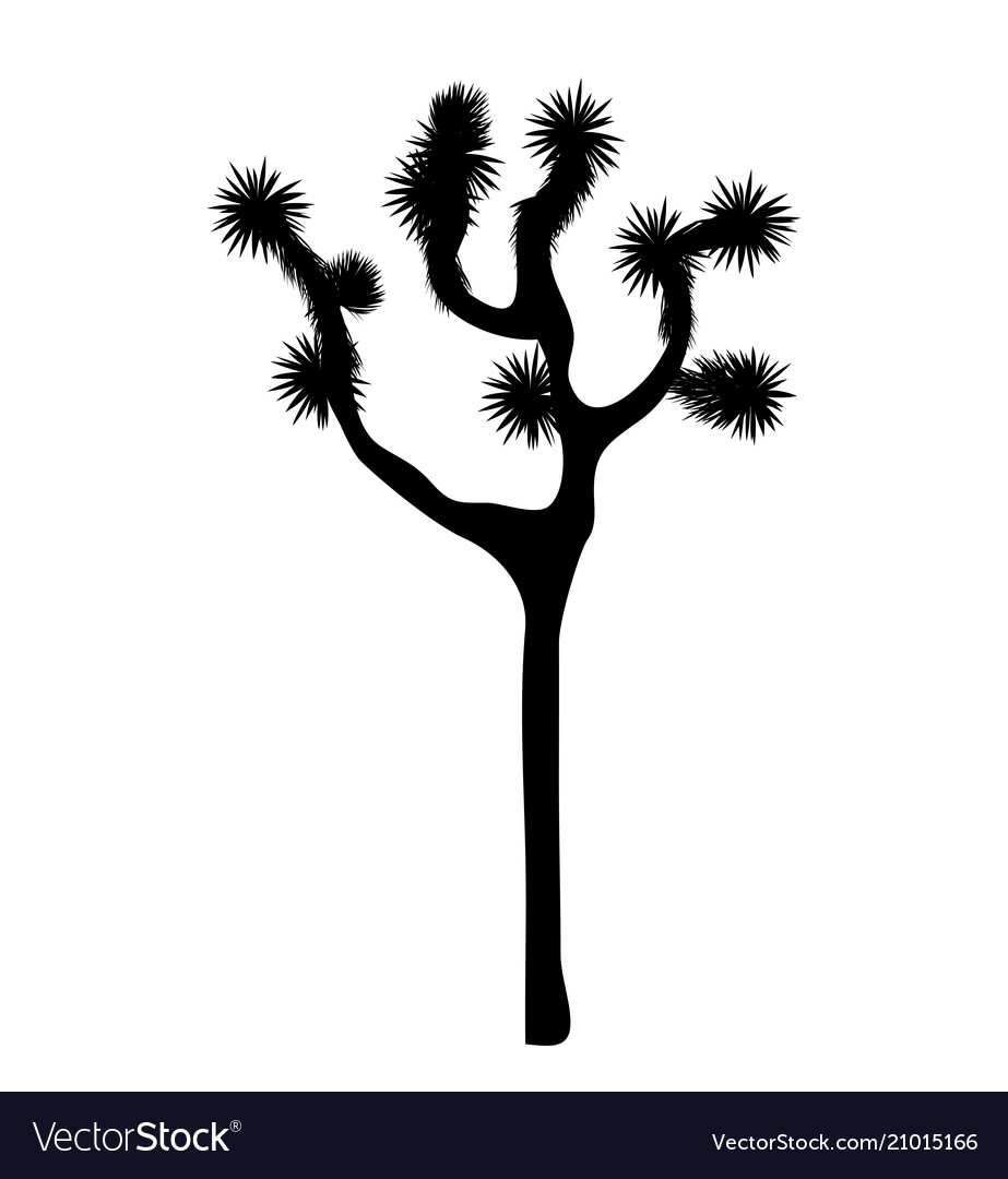 Joshua Tree Silhouette