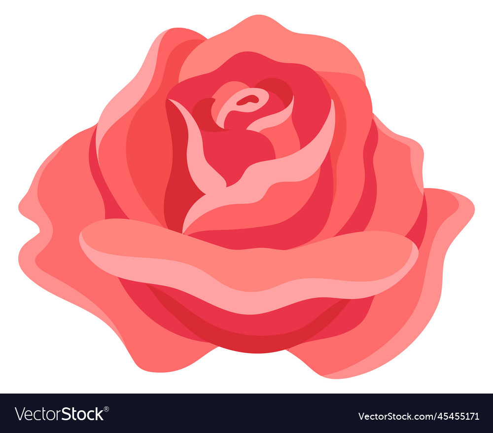 Cartoon rose flower with red petals floral