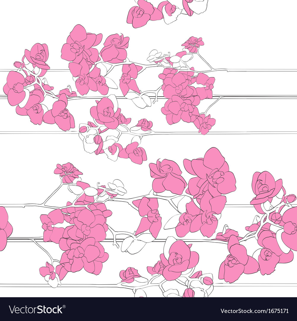 Orchids horizontal pattern