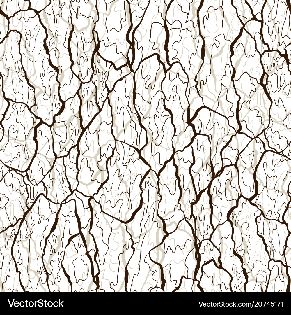 Seamless pattern bark texture wood Royalty Free Vector Image