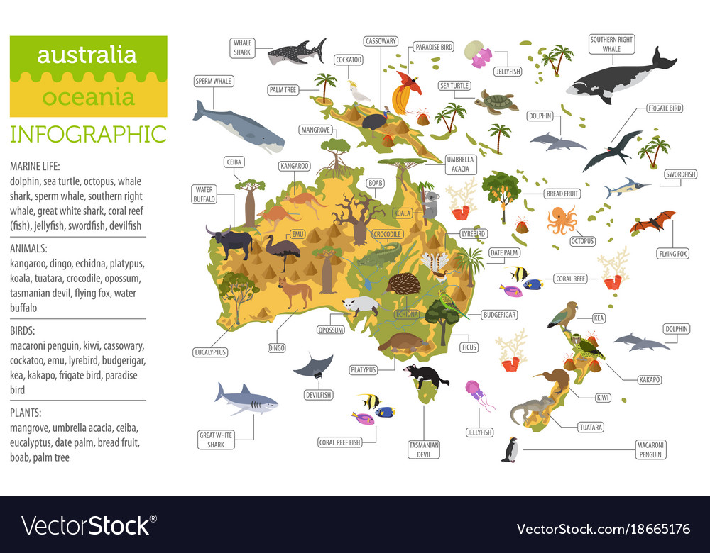 Australia and oceania flora fauna map flat