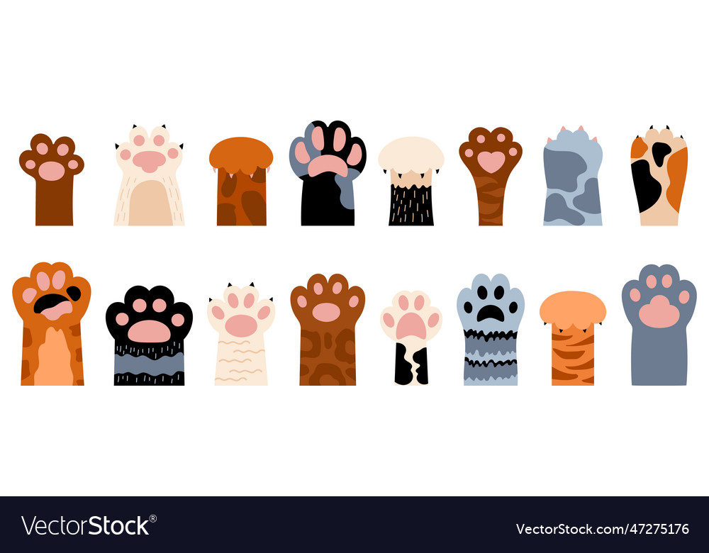 Cartoon cat foots different sweet kitten paws Vector Image