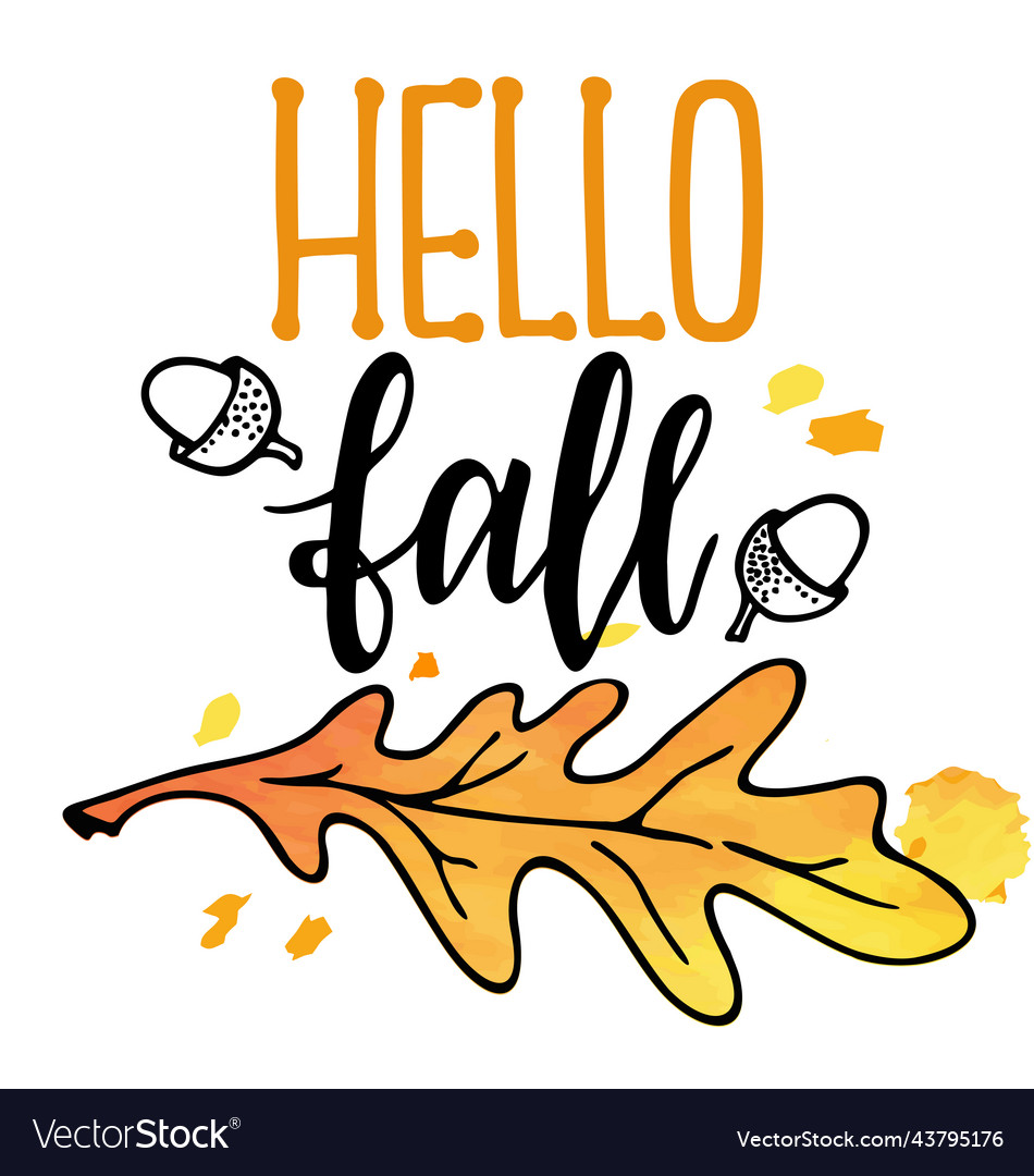 Hello fall text with leaves wreath isolated