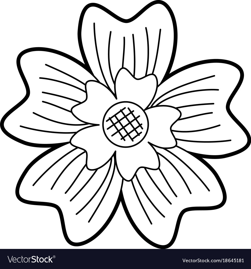 Periwinkle flower adornment nature plant