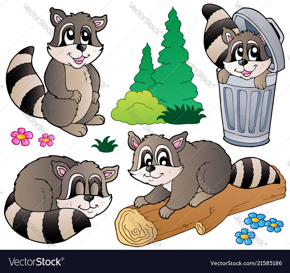 Cartoon racoons collection Royalty Free Vector Image Cartoon racoons collection Royalty Free Vector Image