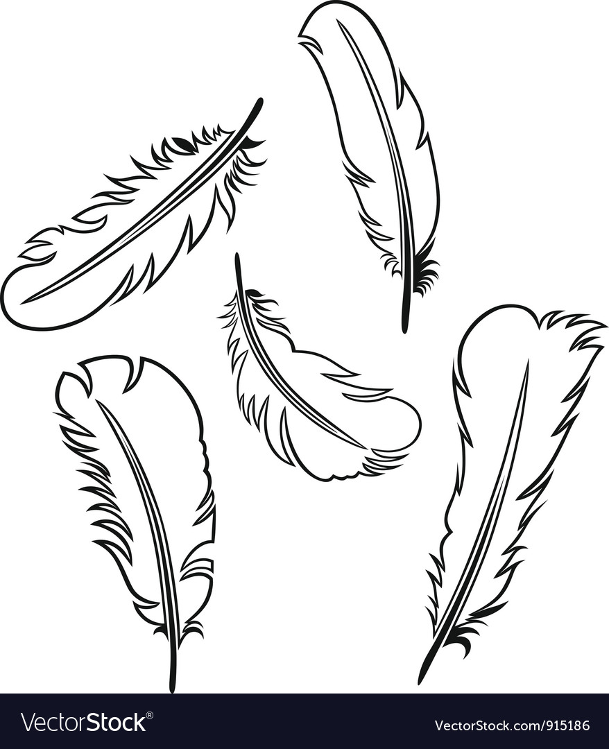 Feather set Royalty Free Vector Image - VectorStock