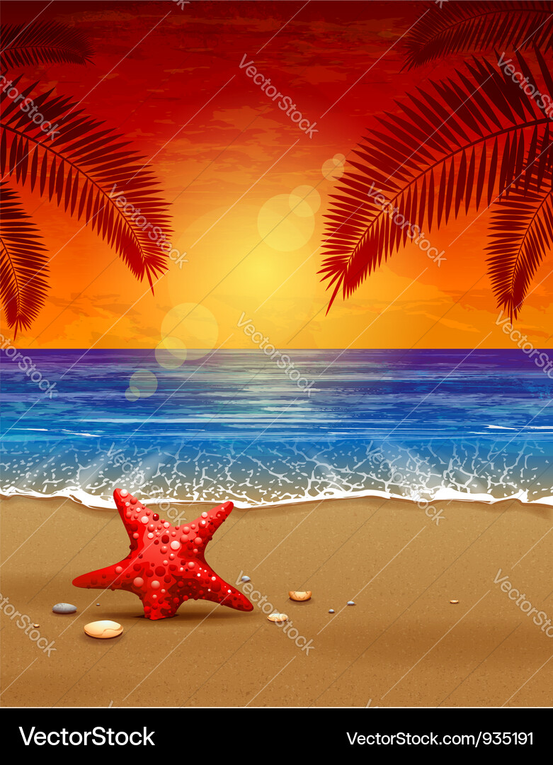 Sea sunset Royalty Free Vector Image - VectorStock
