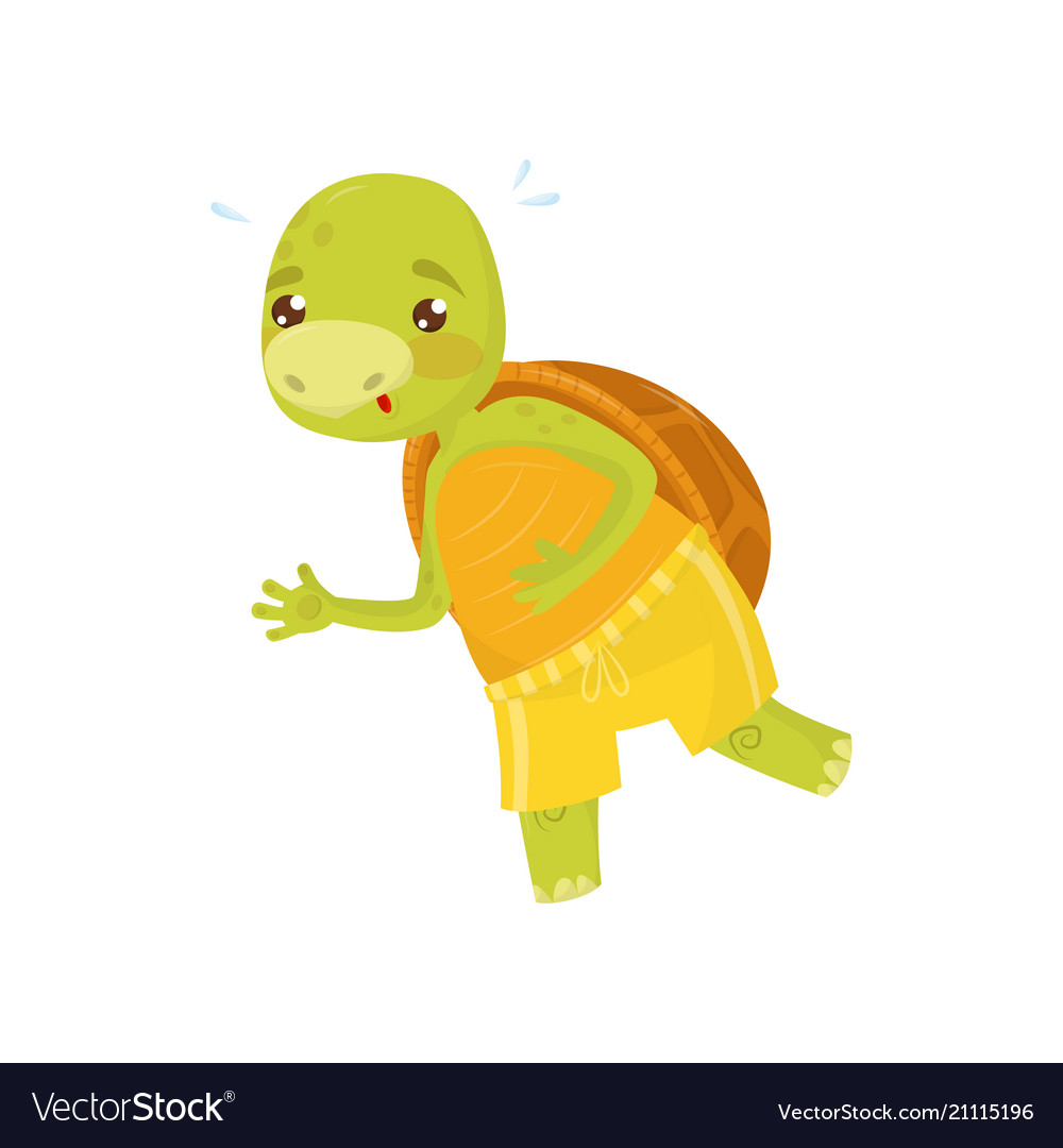 Funny turtle in yellow sports shorts on morning Vector Image