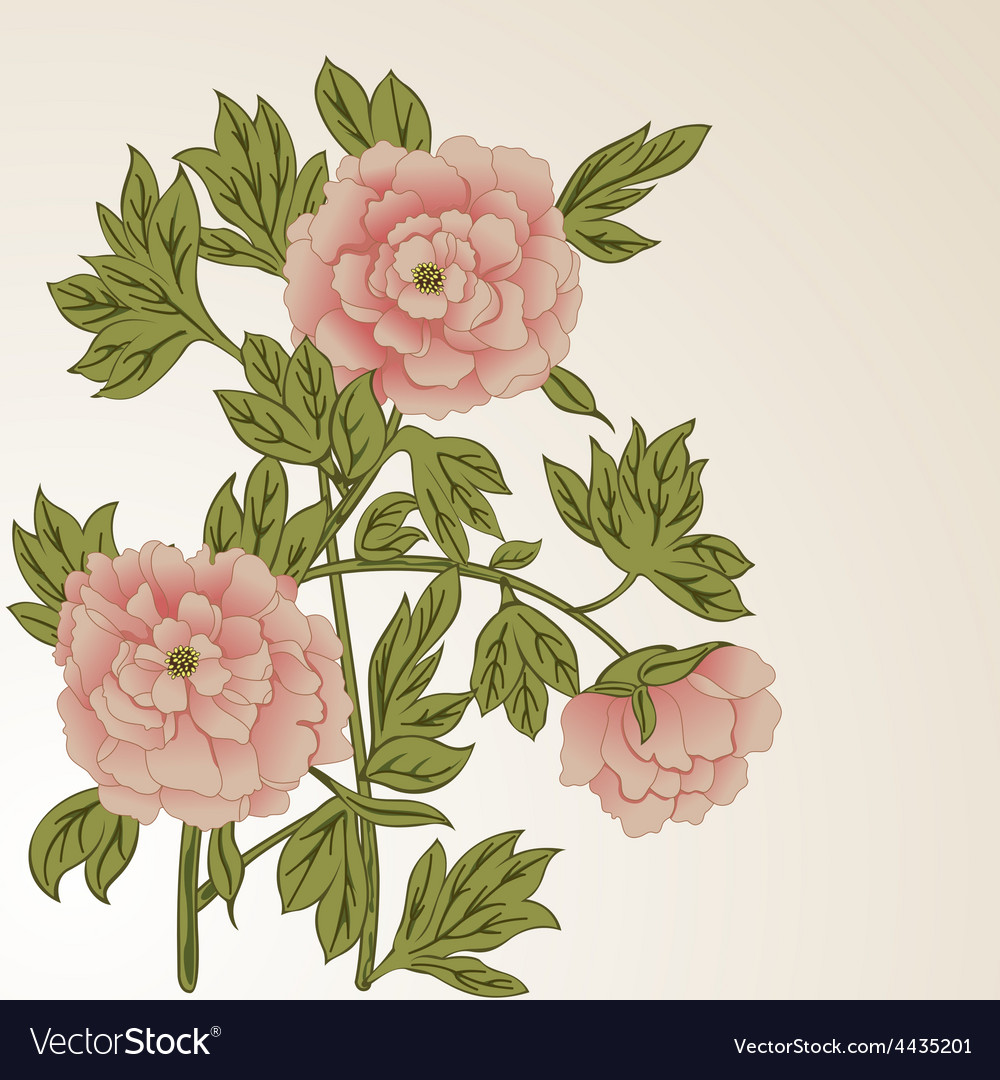 Background with peonies Royalty Free Vector Image