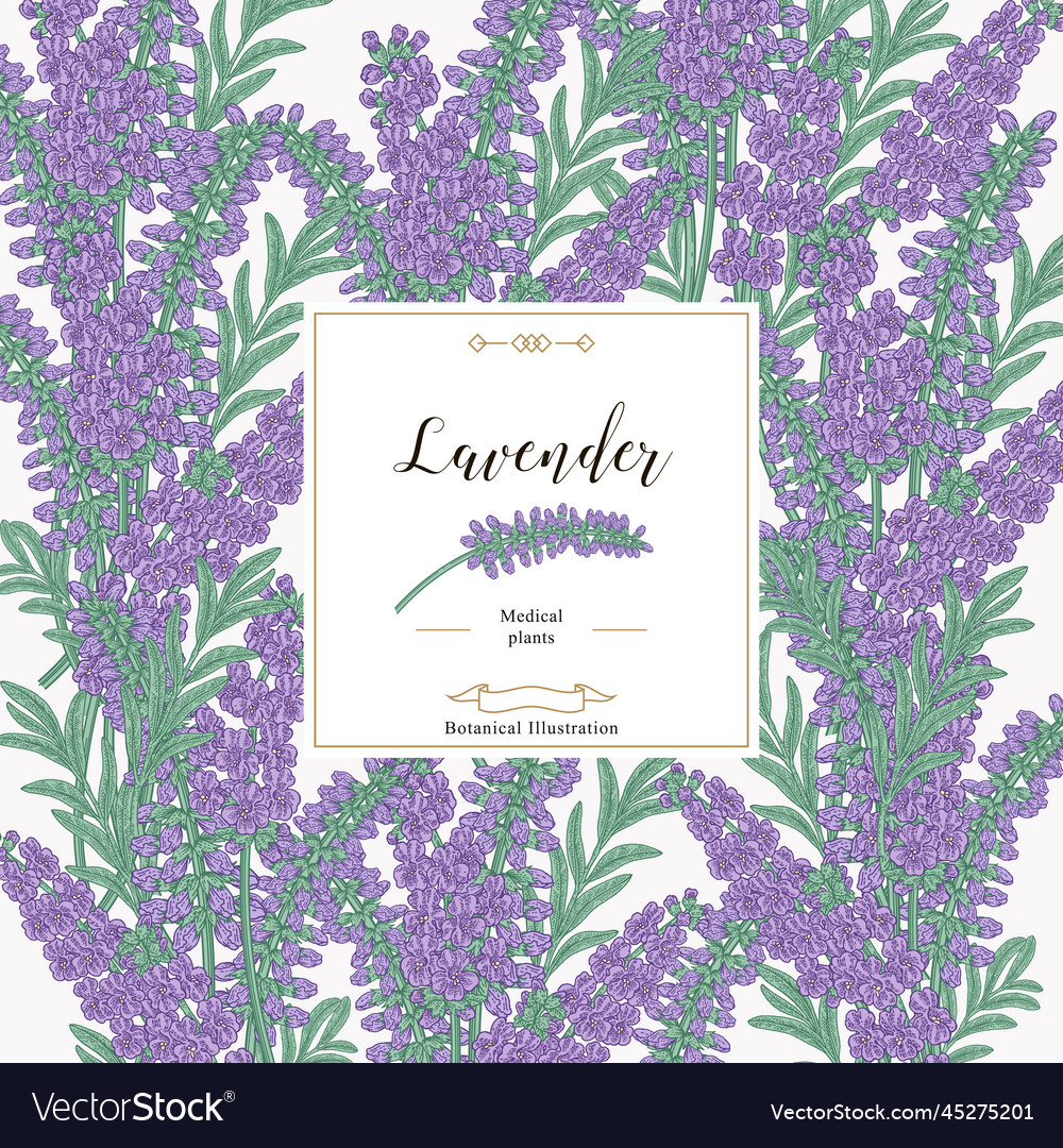 Lavender Background Colorful Leaves Royalty Free Vector