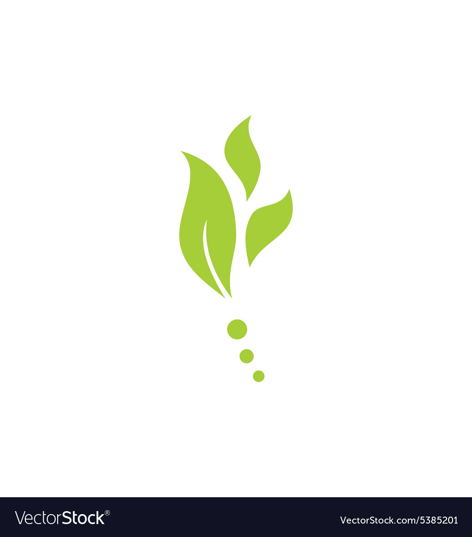 Leaf Nature Herb Green Logo Royalty Free Vector Image