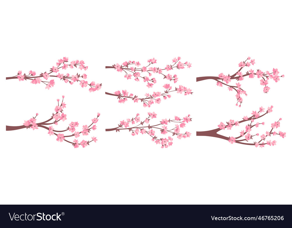 Cherry blossom sakura twigs pink flowers