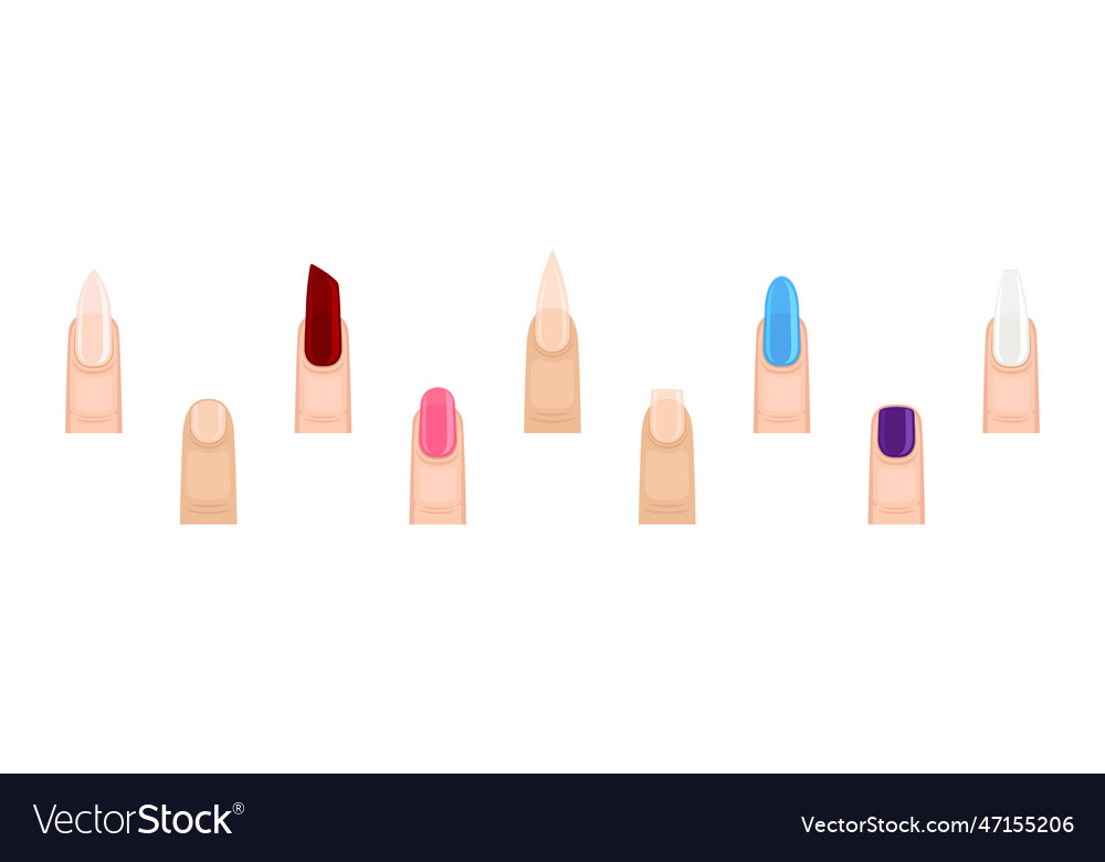 Colorful female finger with nail form and shapes