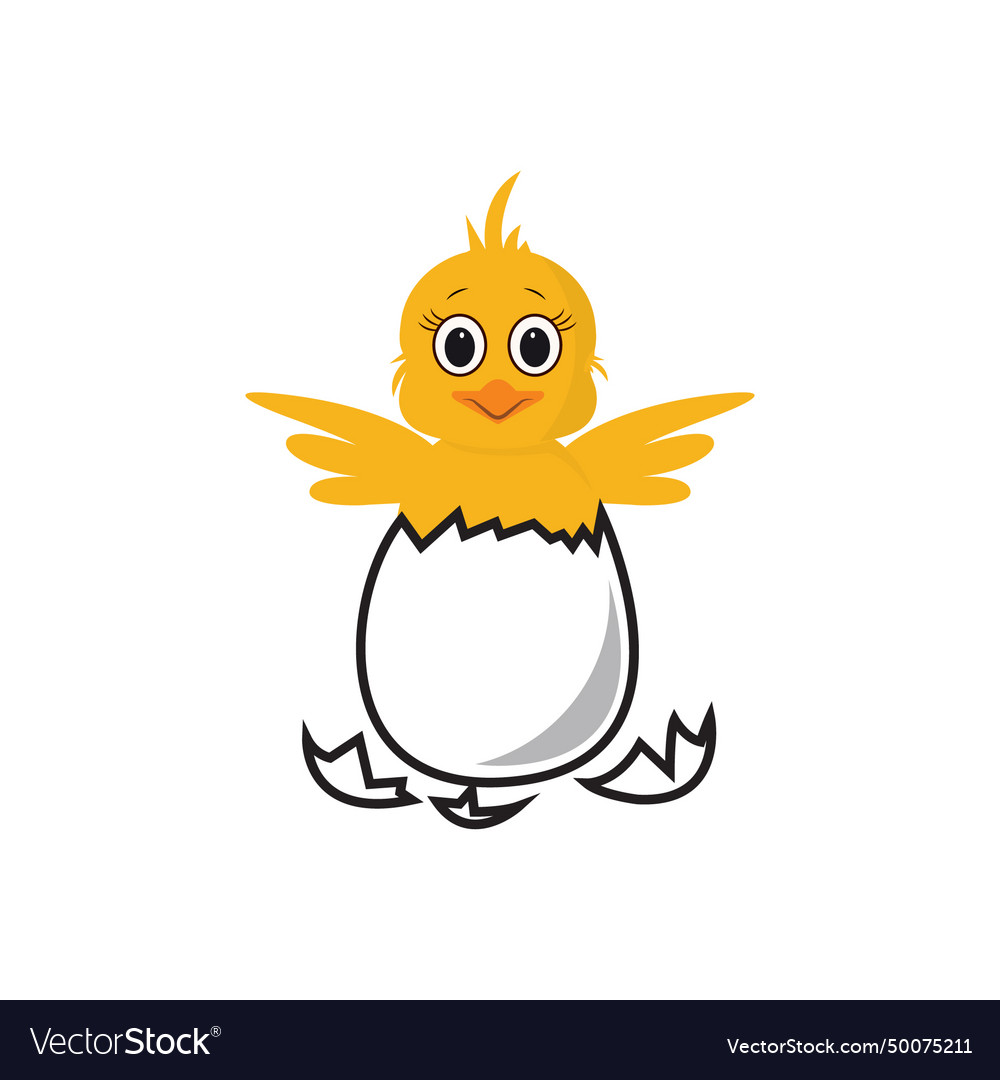 Chicken hatching stages newborn little cute Vector Image