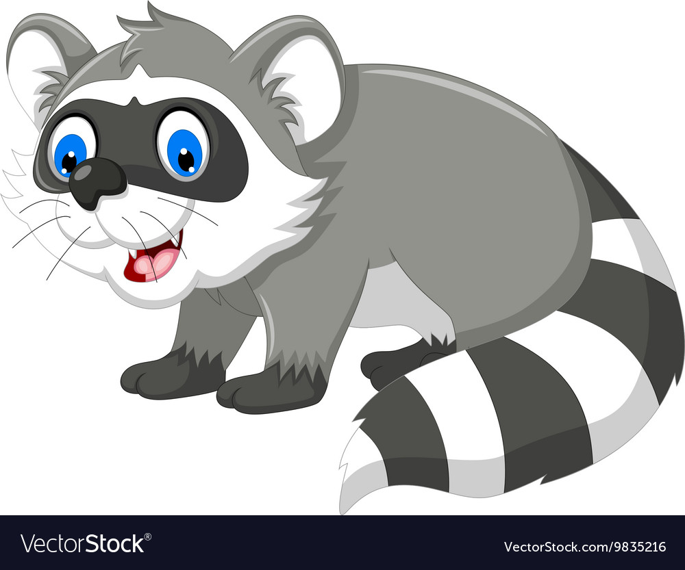 Raccoon cartoon for you design Royalty Free Vector Image