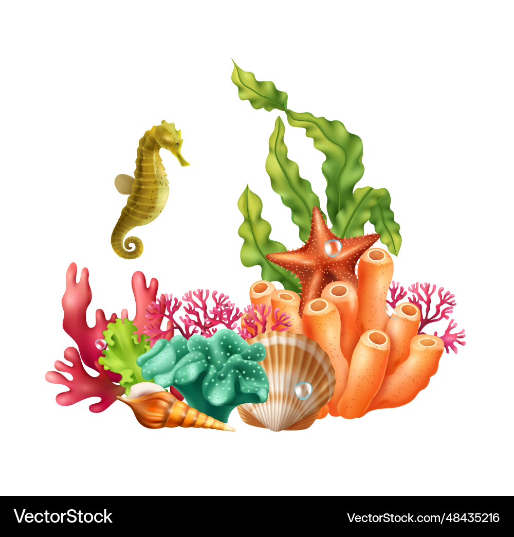 Undersea world realistic composition Royalty Free Vector