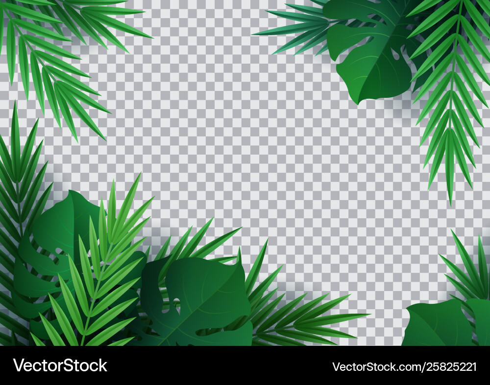 Background tropical plants Royalty Free Vector Image