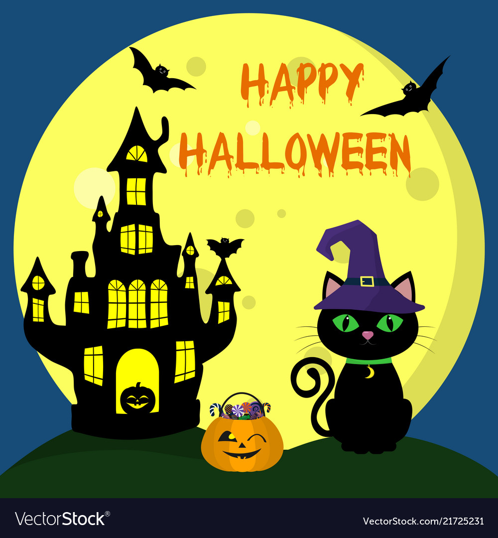 Happy halloween the cat in witch