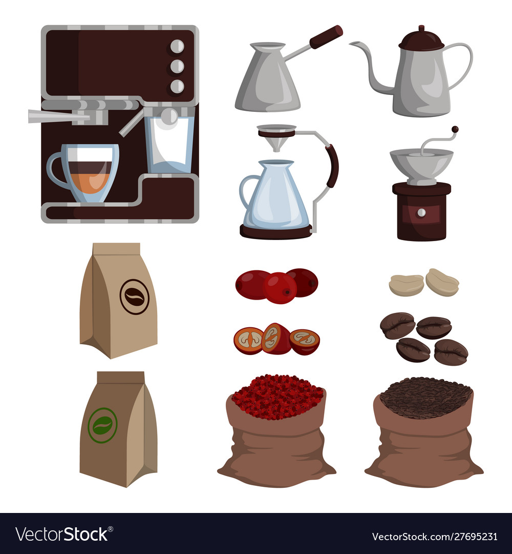 Harvest coffee in bags berries and beans dishes Vector Image