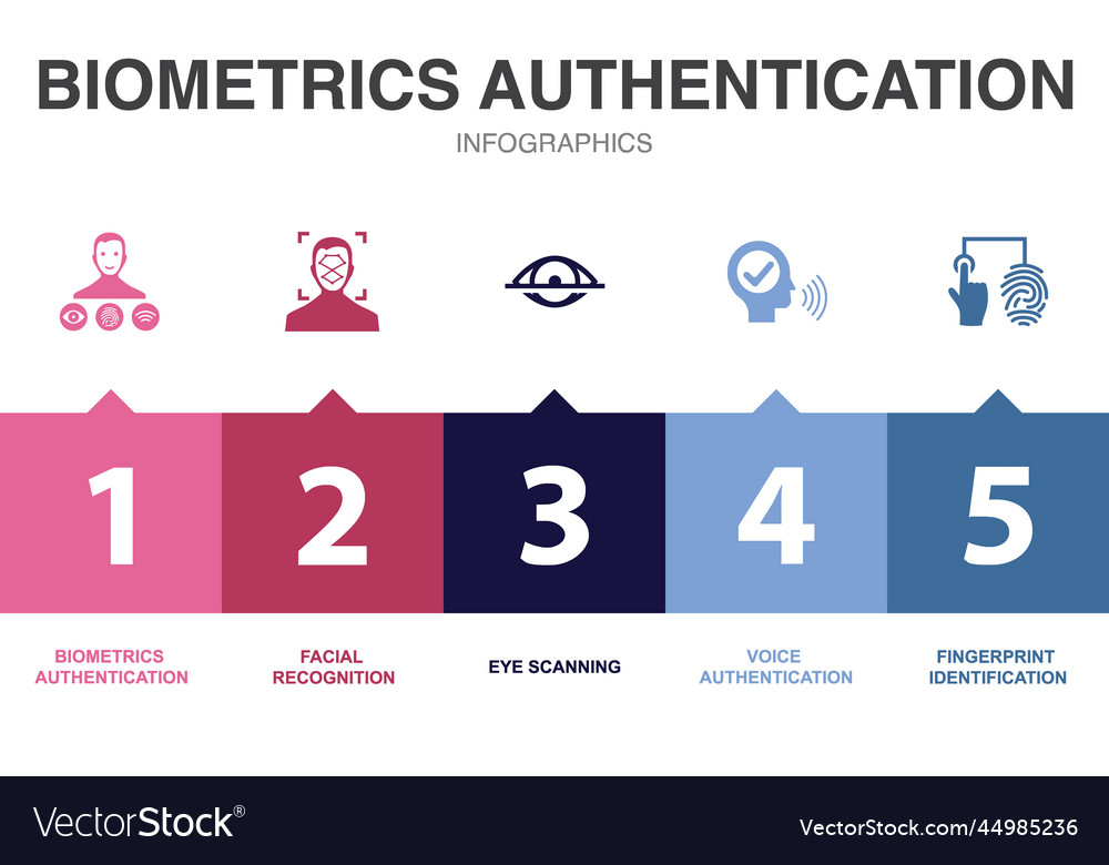 Biometrics authentication icons infographic design