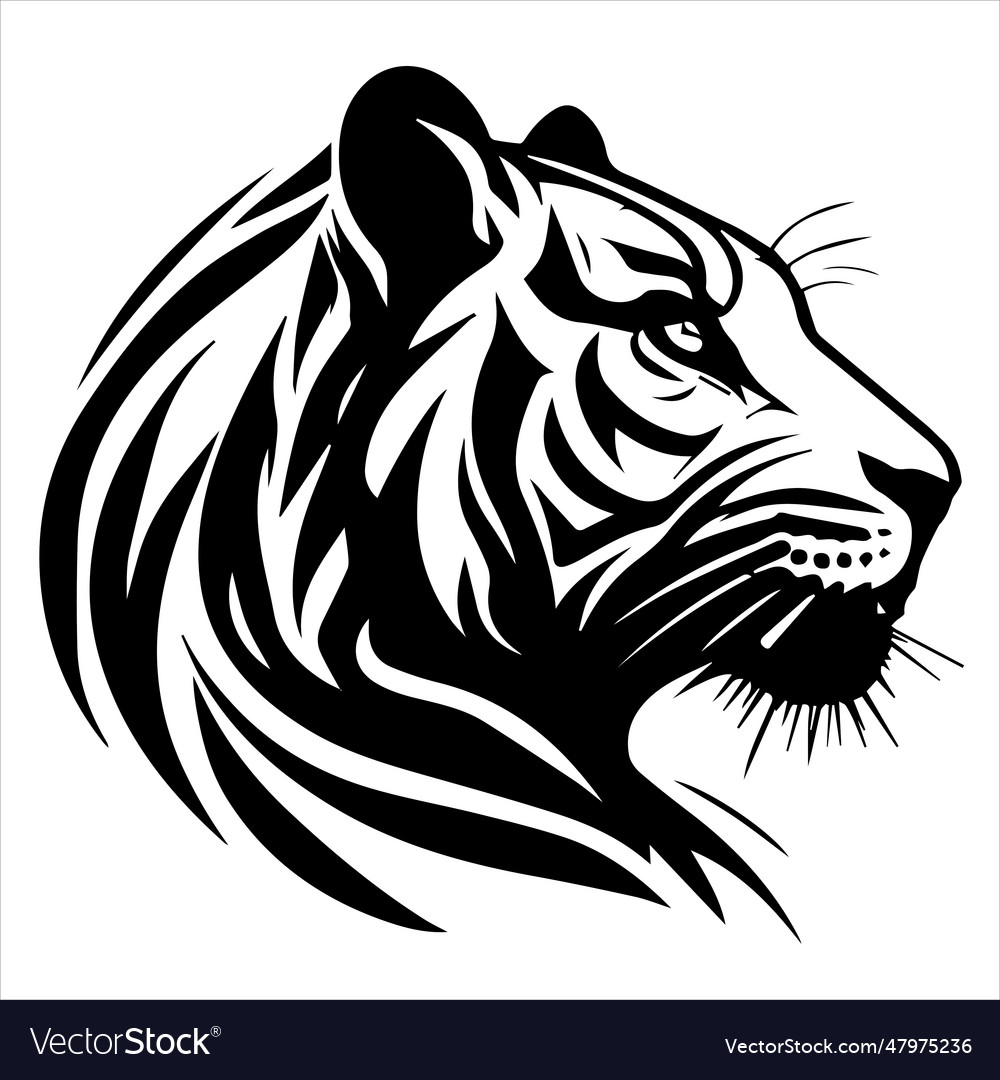 Tiger head on a white background