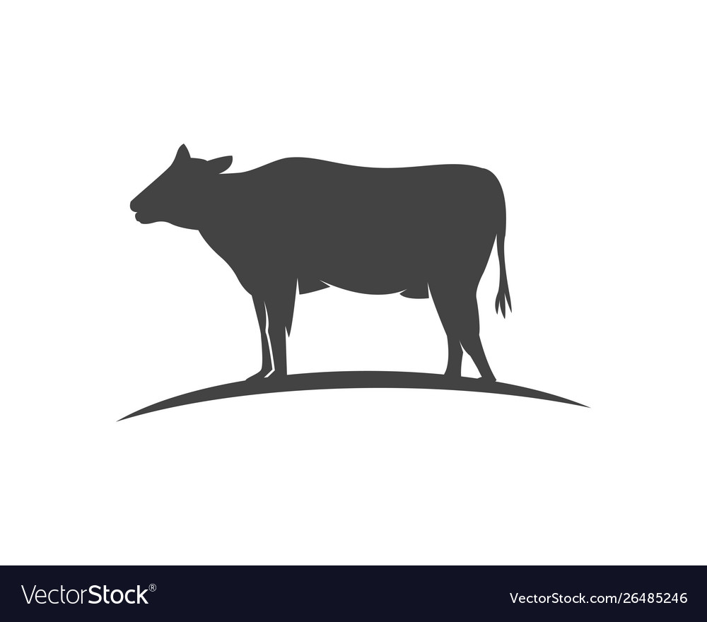 Cow Logo Vorlage Symbol