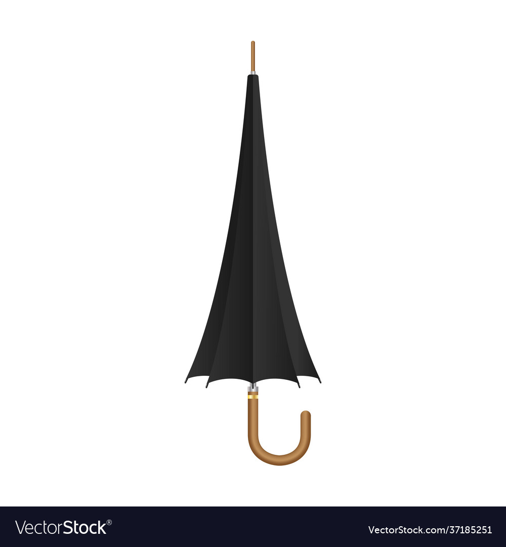 Black umbrella set isolated Royalty Free Vector Image