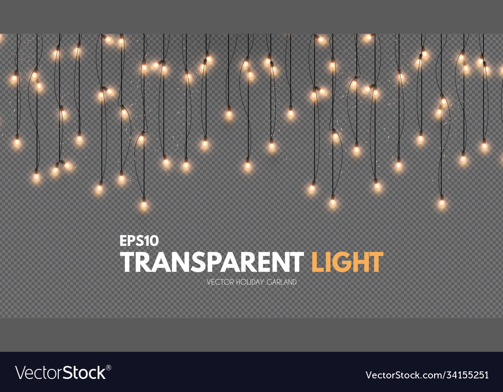 Light garland on transparent background shining Vector Image