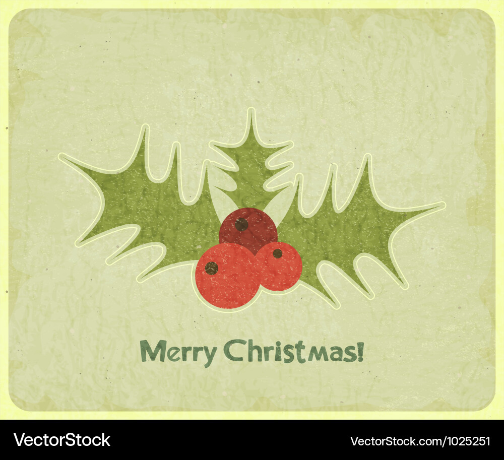 Mistletoe Royalty Free Vector Image - VectorStock