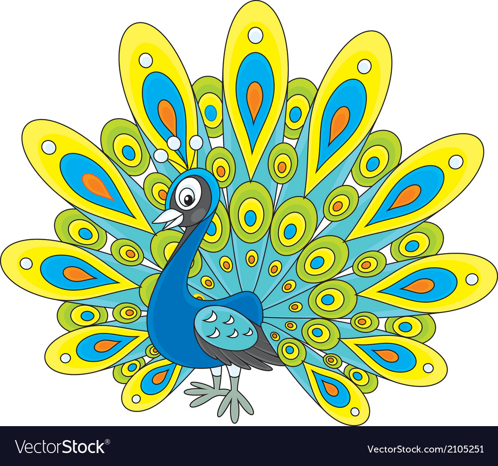 Peacock Royalty Free Vector Image - VectorStock