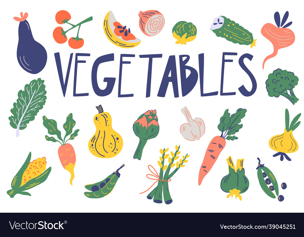 Vegetable Set Healthy Food Hand Drawn Fresh Vector Image