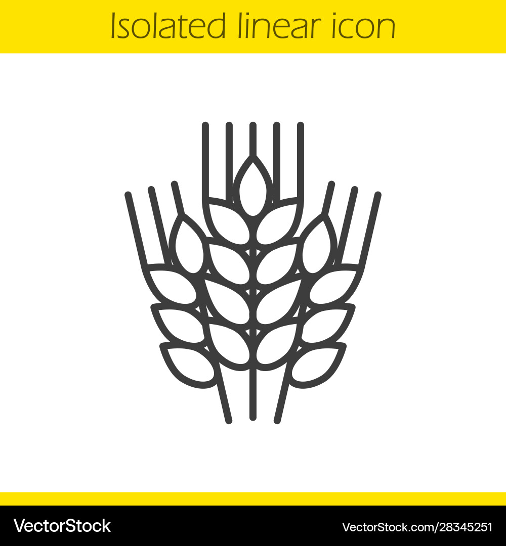 Wheat ears linear icon Royalty Free Vector Image