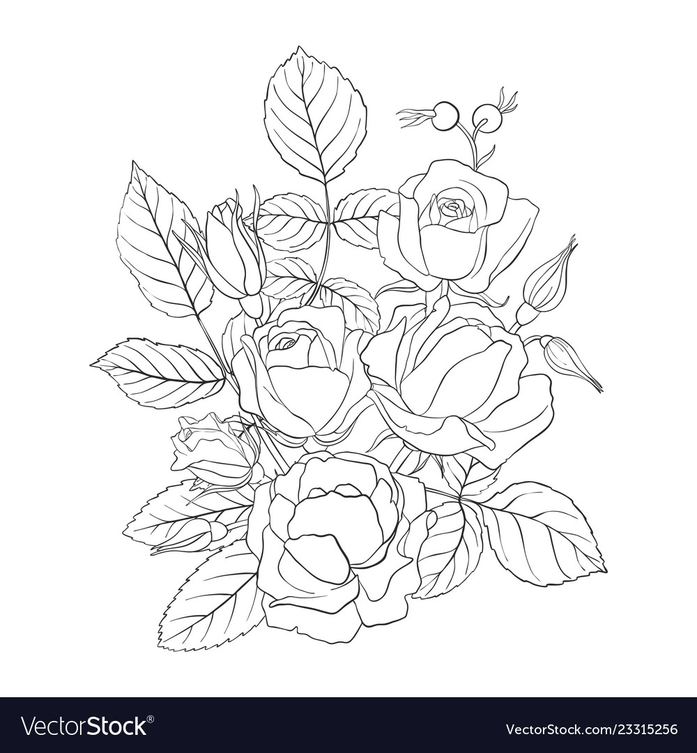 Floral composition Royalty Free Vector Image - VectorStock