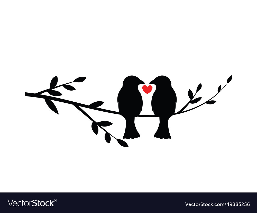 Valentine day silhouette cute birds in love