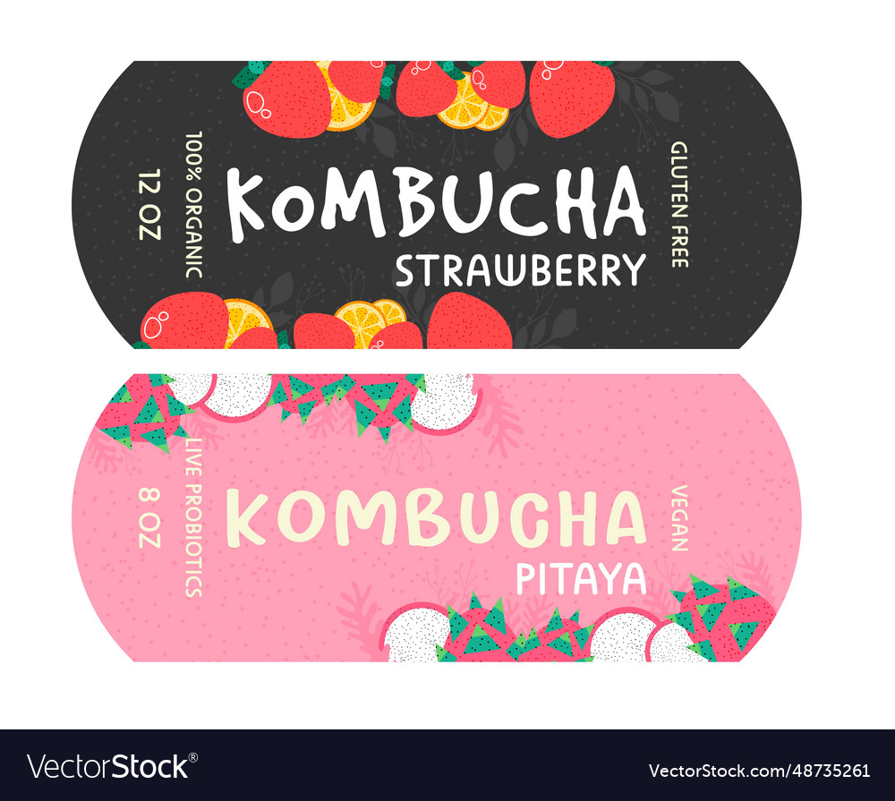 Kombucha with strawberry and pitaya taste package Vector Image