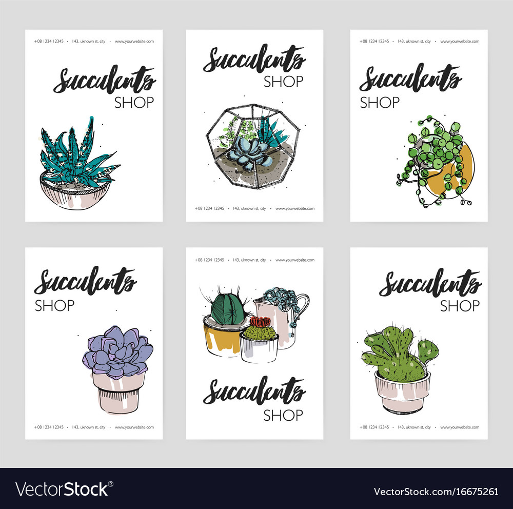 Succulents shop advertising cards collection